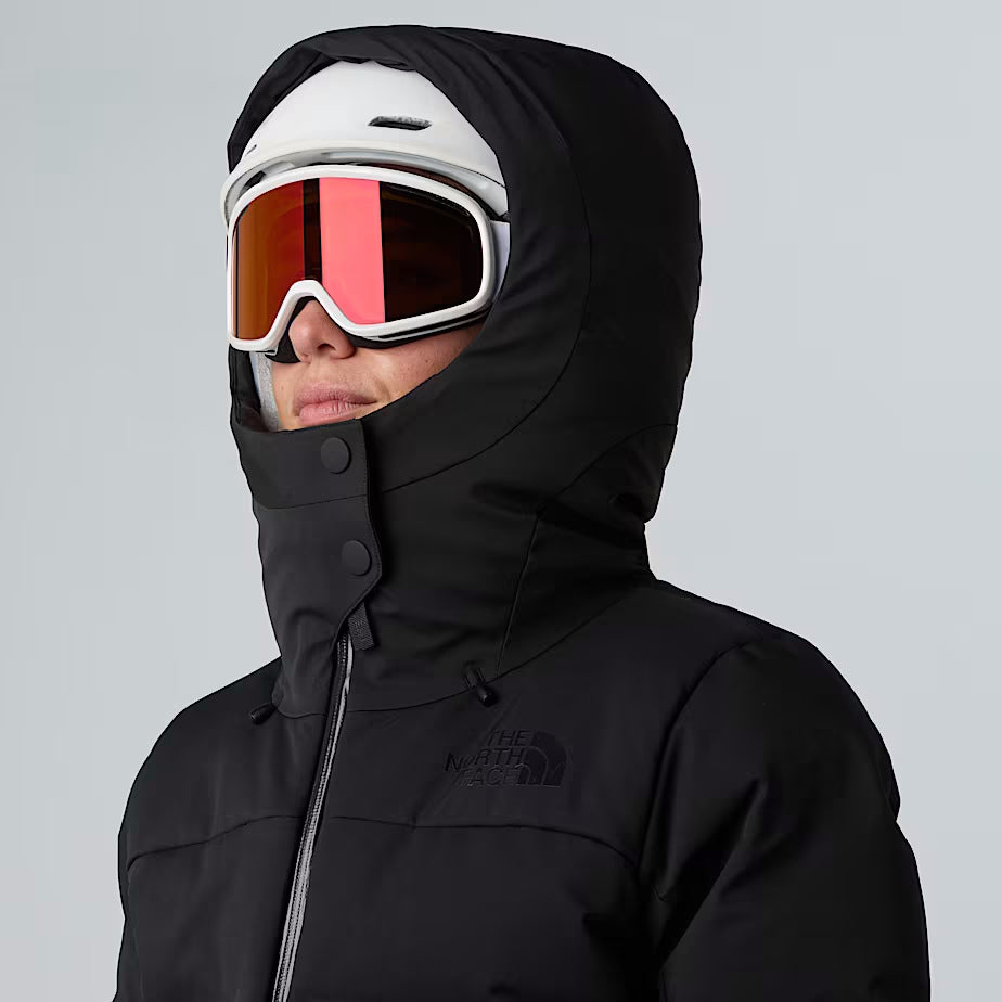 THE NORTH FACE w cirque down jacket NF0A87WS GOF1 