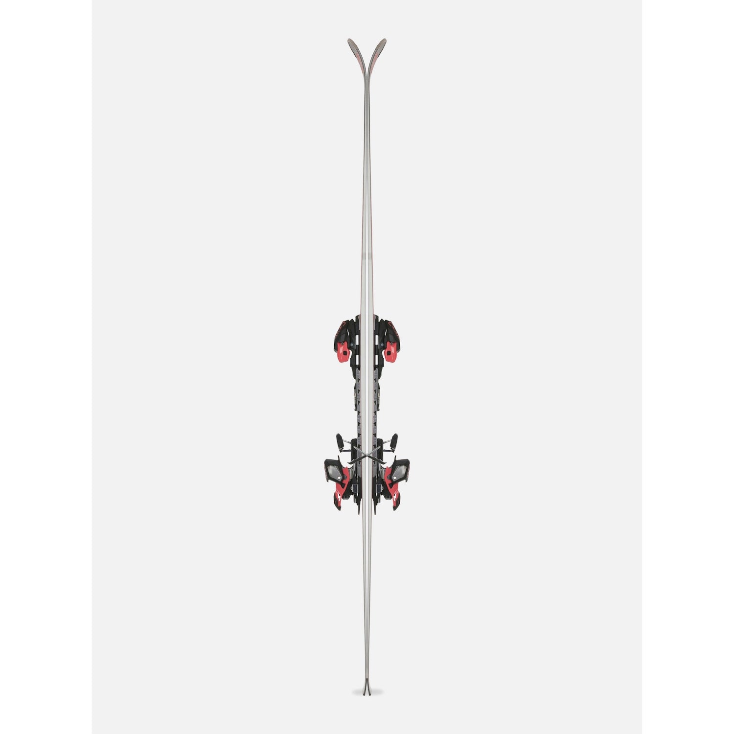 VOLKL Racetiger Gs Master + comp 16 gw master V2511001 COMP 16 