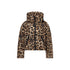 GOLDBERGH pantera ski jacket GB02010264 7250 