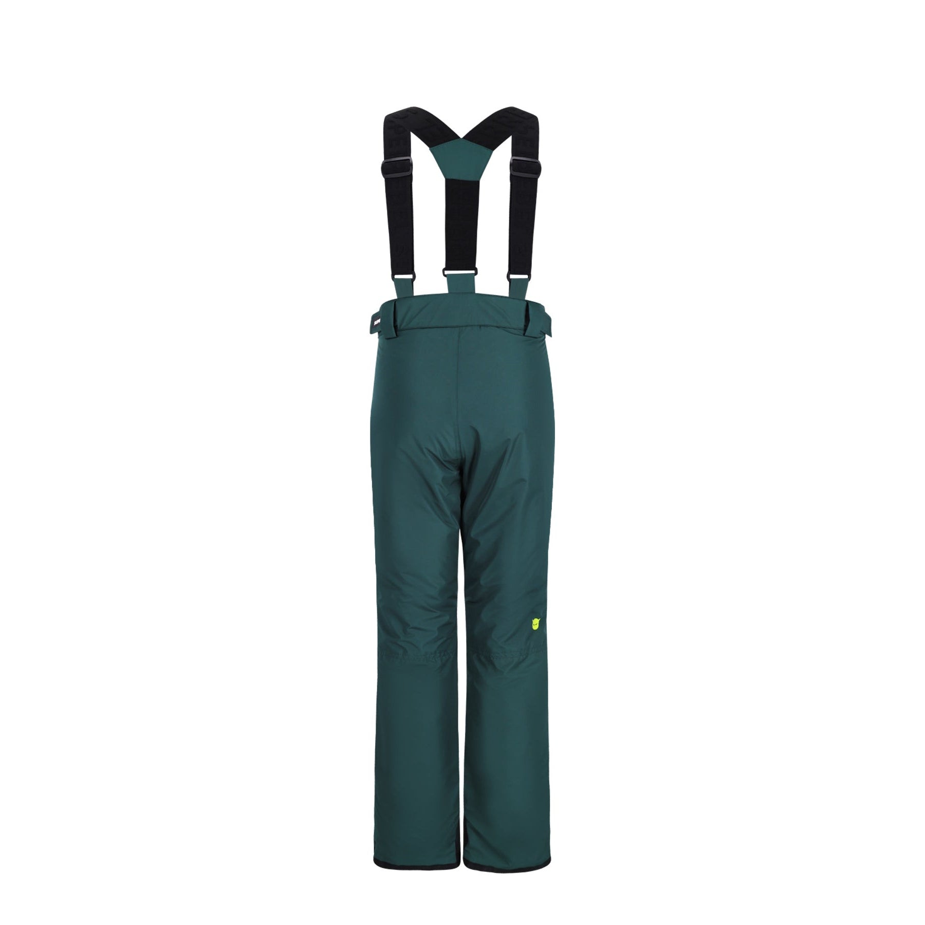 SUPER REBEL SPEED Ski Pants Green R609-6605 376 