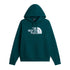 THE NORTH FACE Felpa con cappuccio TNF™ Essential Drew Peak Regular da uomo NF0A8FDA N4J1 