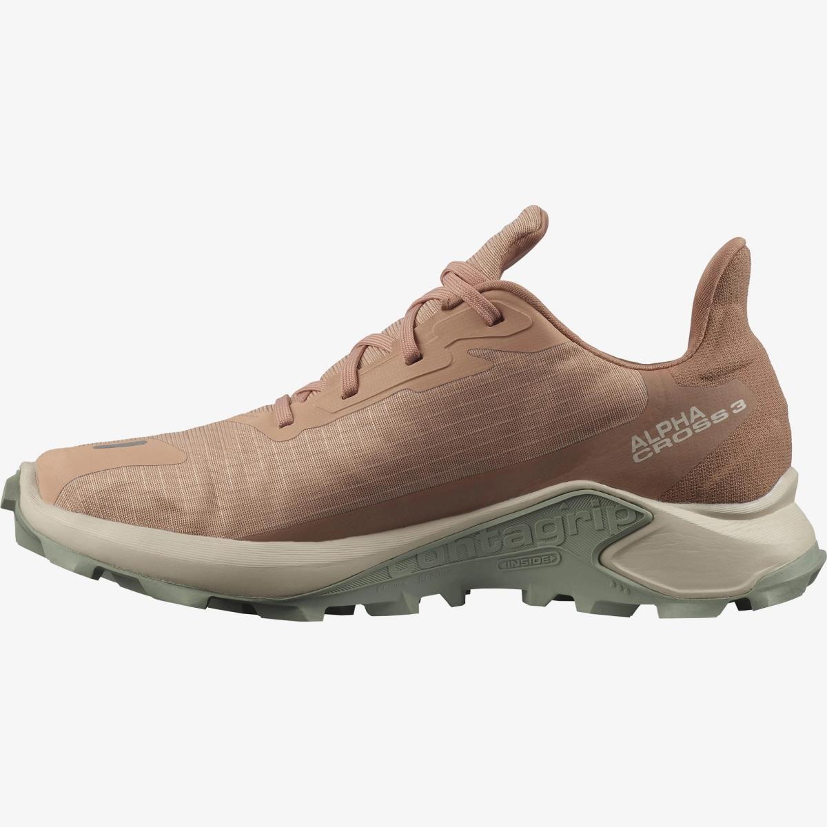SALOMON SALOMON<BR/>ALPHACROSS 3 GORE-TEX L41447600 . 