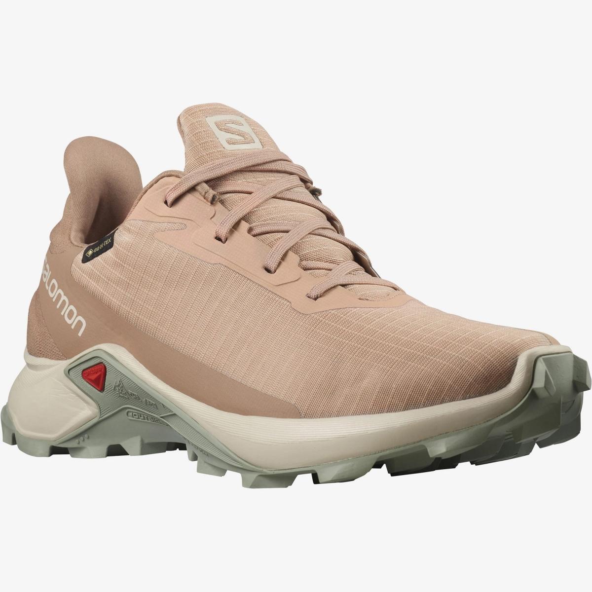 SALOMON SALOMON<BR/>ALPHACROSS 3 GORE-TEX L41447600 . 