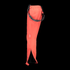 CMP CMP kid salopette 3W15994 C649 