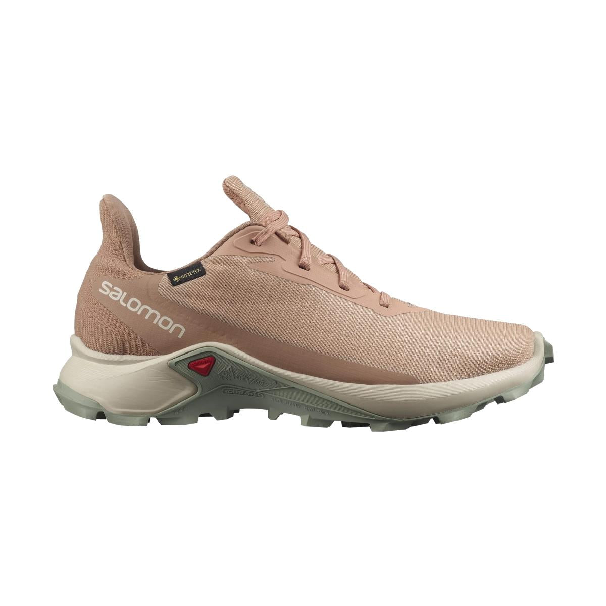 SALOMON SALOMON<BR/>ALPHACROSS 3 GORE-TEX L41447600 . 