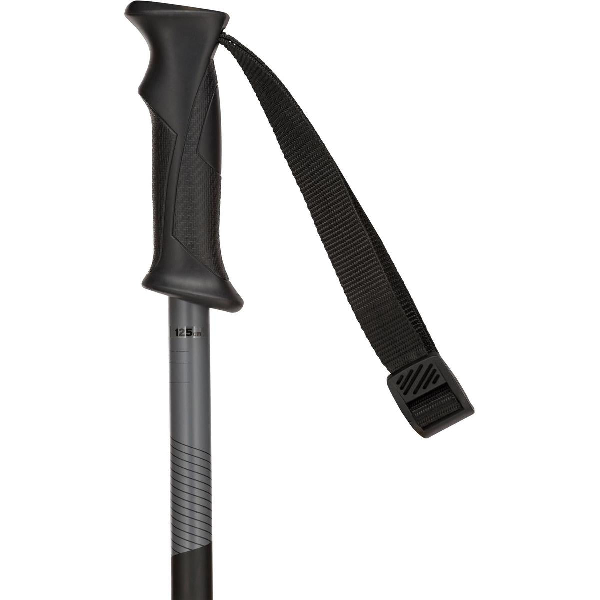 ROSSIGNOL  RDI2010 . 