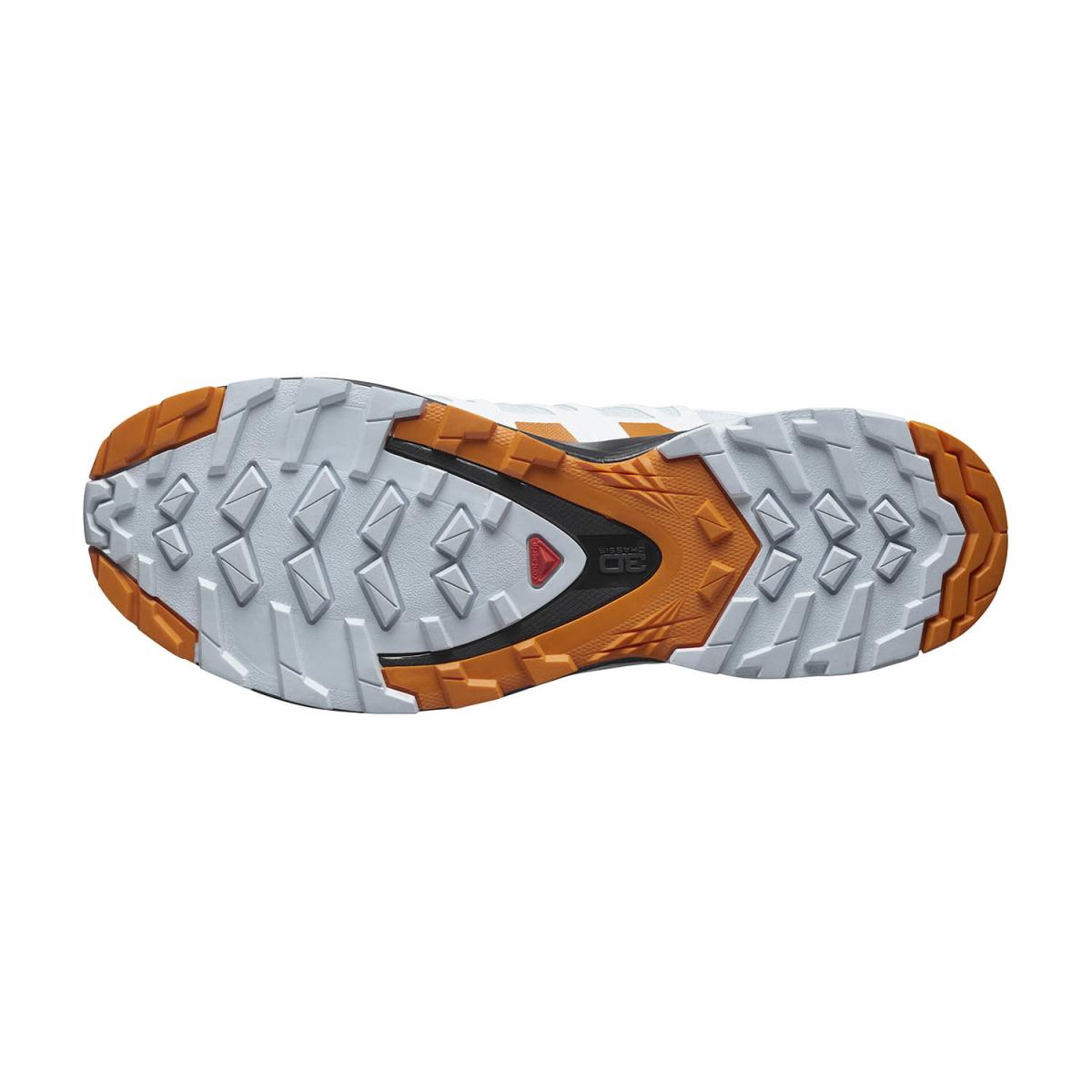 SALOMON SALOMON<BR/>XA PRO 3D v8 GORE-TEX W L41564100 . 