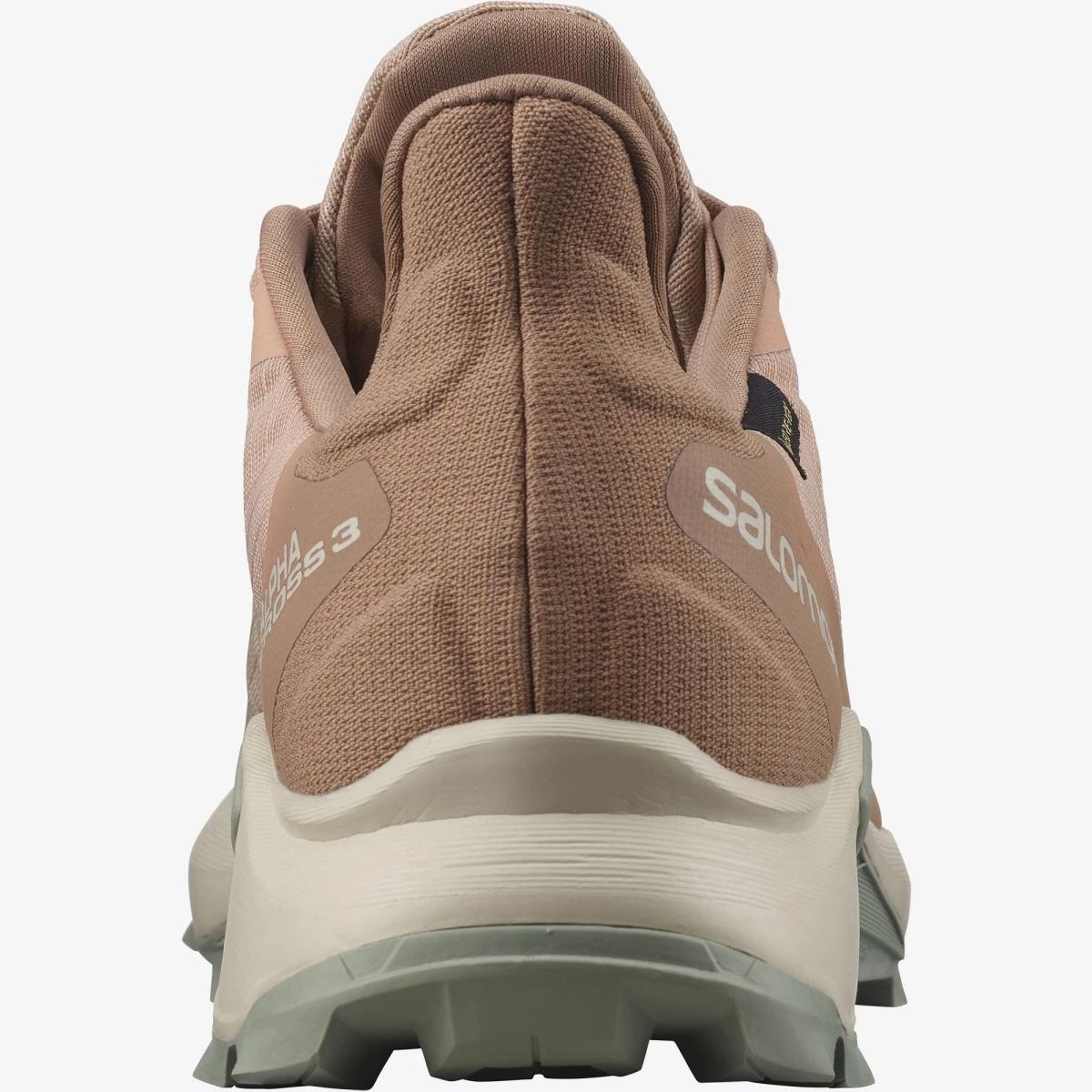 SALOMON SALOMON<BR/>ALPHACROSS 3 GORE-TEX L41447600 . 