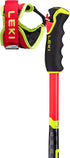 LEKI wcr gs 3d 65267771 . 