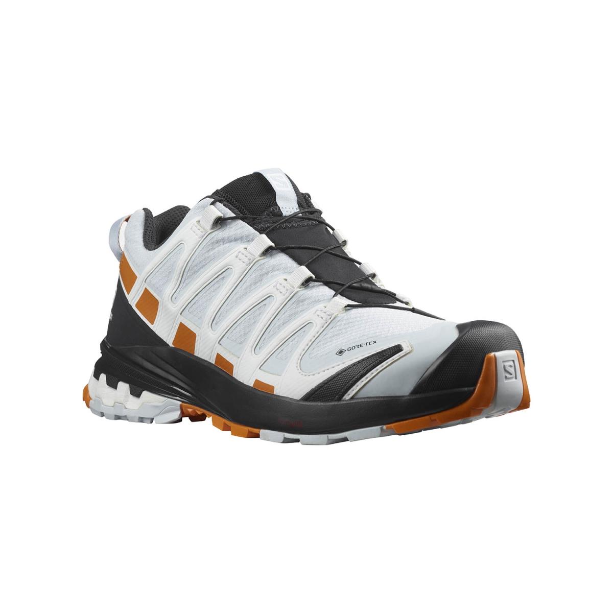 SALOMON SALOMON<BR/>XA PRO 3D v8 GORE-TEX W L41564100 . 