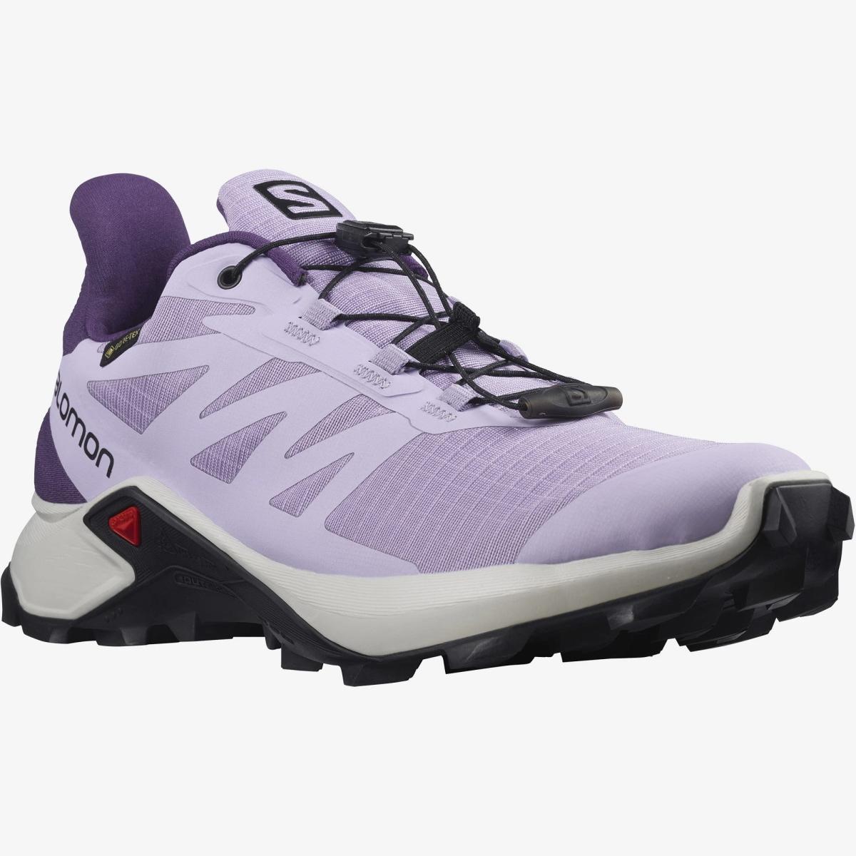 SALOMON SALOMON<BR/>SUPERCROSS 3 GORE-TEX W L41456500 . 