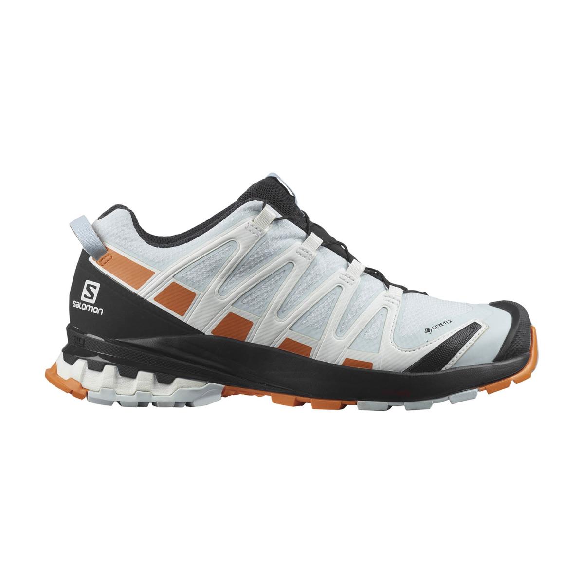 SALOMON SALOMON<BR/>XA PRO 3D v8 GORE-TEX W L41564100 . 