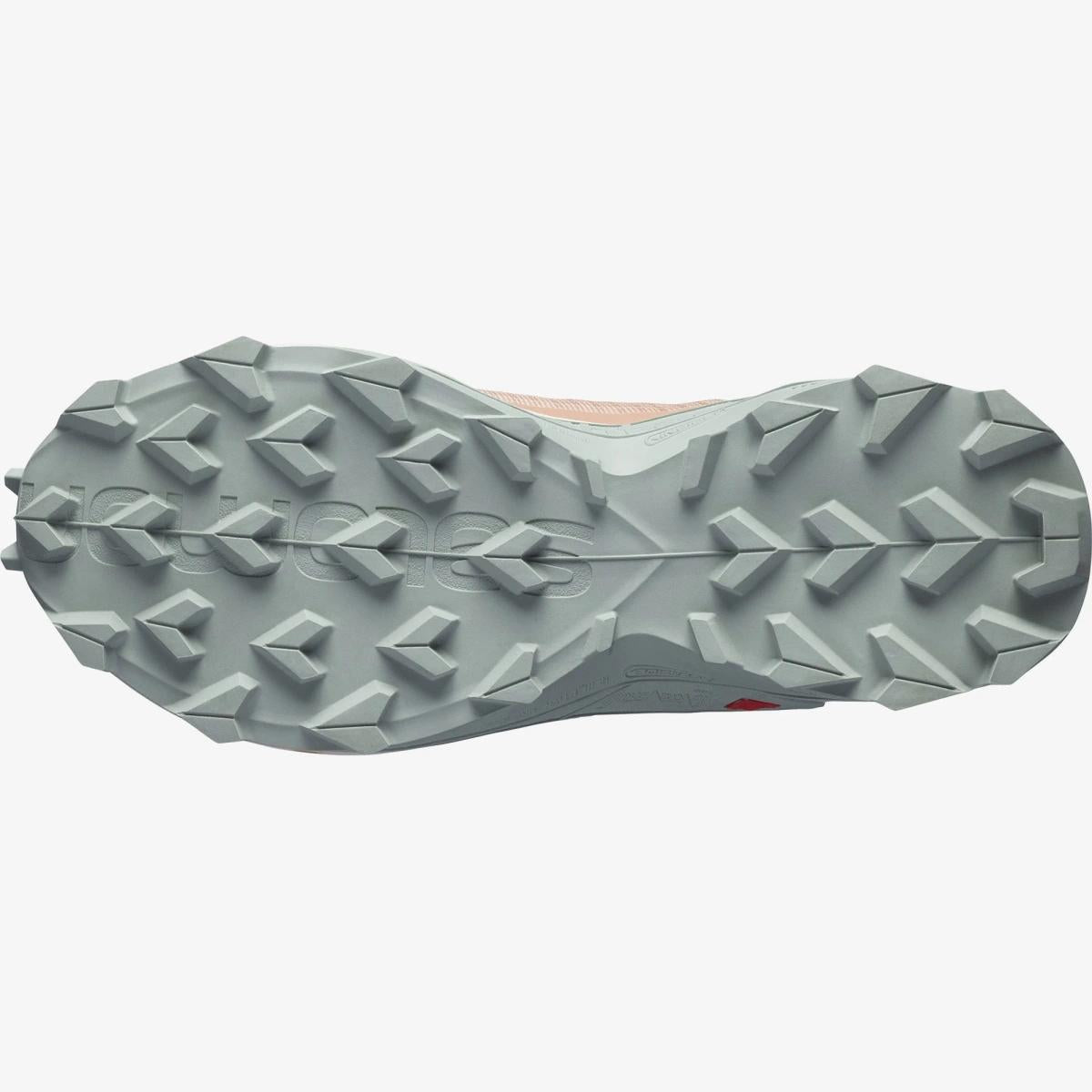 SALOMON SALOMON<BR/>ALPHACROSS 3 GORE-TEX L41447600 . 